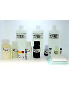 Cell Signaling Western Blotting Application Solutions Kit