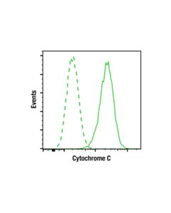 Cell Signaling Cytochrome c (6H2.B4) Mouse mAb 20 uL