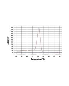 Cell Signaling Simplechip Human Ifn-Gamma Promoter Primers