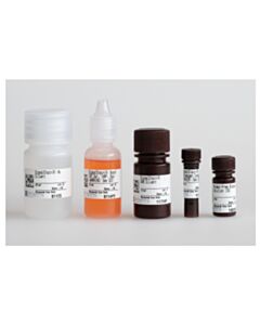 Cell Signaling Immunohistochemistry Application Solutions Kit (Rabbit)
