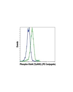 Cell Signaling Phospho-Stat4 (Tyr693) (D2e4) Rabbit mAb (PE Conjugate)