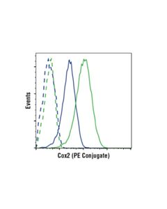 Cell Signaling Cox2 (D5h5) Xp  Rabbit mAb (PE Conjugate)