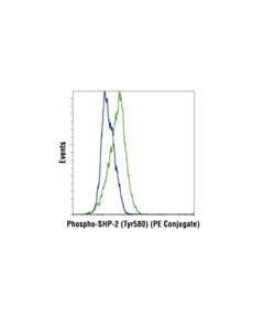 Cell Signaling Phospho-Shp-2 (Tyr580) (D66f10) Rabbit mAb (PE Conjugate)