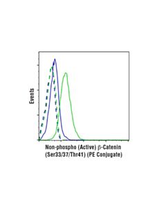Cell Signaling Non-Phospho (Active) Beta-Catenin (Ser33/37/Thr41) (D13a1) Rabbit mAb (PE Conjugate)