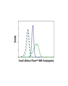 Cell Signaling Cox2 (D5h5) Xp  Rabbit mAb (Alexa Fluor 488 Conjugate)