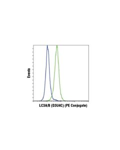 Cell Signaling Lc3a/B (D3u4c) Xp  Rabbit mAb (PE Conjugate)