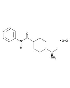 Cell Signaling Y-27632