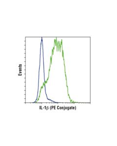Cell Signaling Il-1beta (D3u3e) Rabbit mAb (PE Conjugate)