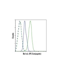 Cell Signaling Bcl-Xl (54h6) Rabbit mAb (PE Conjugate)