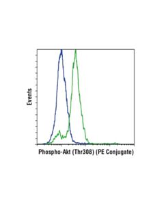 Cell Signaling Phospho-Akt (Thr308) (D25e6) Xp Rabbit mAb (PE Conjugate)