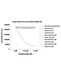 Cell Signaling Acetyl-Histone H3 (Lys18) (D8z5h) Rabbit mAb