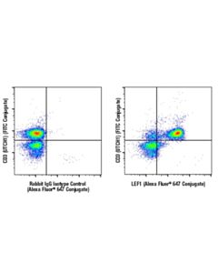 Cell Signaling Lef1 (C12a5) Rabbit mAb (Alexa Fluor  647 Conjugate)