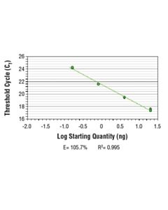 Cell Signaling Simplechip Human Hsp70 Intron 1 Primers
