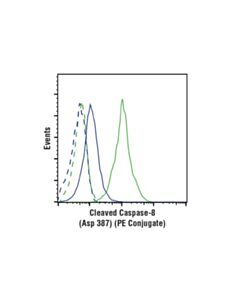 Cell Signaling Cleaved Caspase-8 (Asp387) (D5b2) Xp Rabbit mAb (Mouse Specific) (PE Conjugate)