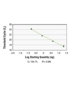 Cell Signaling Simplechip Human Rnu2-1 Promoter Primers