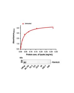 Cell Signaling Pathscan  Total Psa/Klk3 Sandwich ELISA Kit