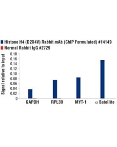 Cell Signaling Histone H4 (D2x4v) Rabbit mAb (Chip Formulated)