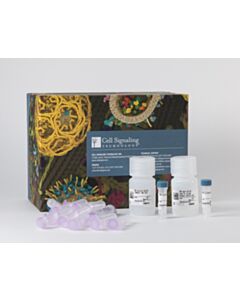 Cell Signaling Dna Purification Buffers And Spin Columns (Chip, Cut&Run)
