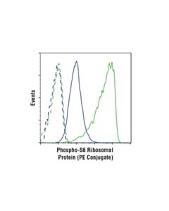 Cell Signaling Phospho-S6 Ribosomal Protein (Ser240/244) (D68f8) Xp  Rabbit mAb (PE Conjugate)