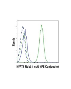 Cell Signaling Nfat1 (D43b1) Xp Rabbit mAb (PE Conjugate)
