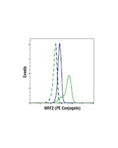 Cell Signaling Nrf2 (D1z9c) Xp  Rabbit mAb (PE Conjugate)