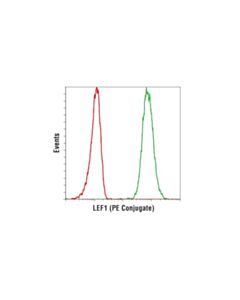 Cell Signaling Lef1 (C12a5) Rabbit mAb (PE Conjugate)