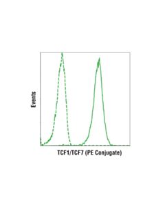 Cell Signaling TCF1/TCF7 (C63D9) Rabbit mAb (PE Conjugate)