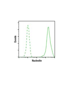 Cell Signaling Nucleolin (D4C7O) Rabbit mAb