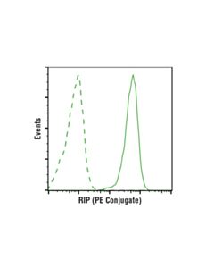 Cell Signaling Rip (D94c12) Xp  Rabbit mAb (PE Conjugate)