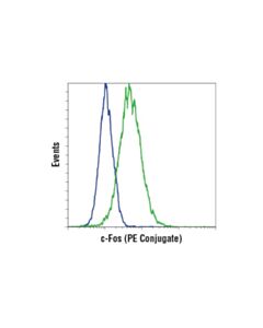 Cell Signaling C-Fos (9f6) Rabbit mAb (PE Conjugate)