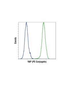 Cell Signaling Yap (D8h1x) Xp  Rabbit mAb (PE Conjugate)