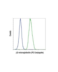 Cell Signaling Beta2-Microglobulin (D8p1h) Rabbit mAb (PE Conjugate)