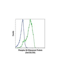 Cell Signaling Phospho-S6 Ribosomal Protein (Ser235/236) (D57.2.2e) Xp  Rabbit mAb (Apc Conjugate)