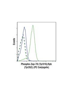Cell Signaling Phospho-Zap-70 (Tyr319)/Syk (Tyr352) (65e4) Rabbit mAb (PE Conjugate)
