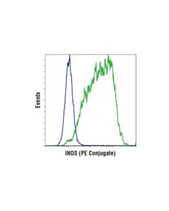 Cell Signaling Inos (D6b6s) Rabbit mAb (PE Conjugate)
