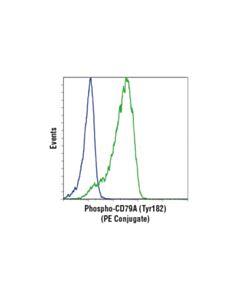 Cell Signaling Phospho-Cd79a (Tyr182) (D1b9) Rabbit mAb (PE Conjugate)