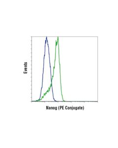 Cell Signaling Nanog (D73g4) Xp  Rabbit mAb (PE Conjugate)