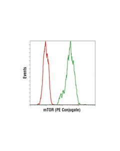 Cell Signaling Mtor (7c10) Rabbit mAb (PE Conjugate)