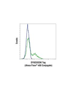 Cell Signaling Dykddddk Tag (D6w5b) Rabbit mAb (Binds To Same Epitope As Sigmas Anti-Flag  M2 Antibody) (Alexa Fluor  488 Conjugate)