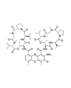Cell Signaling Actinomycin D