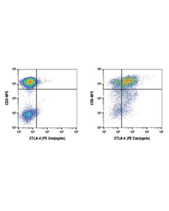 Cell Signaling Ctla-4 (D4e9i) Rabbit mAb (PE Conjugate)