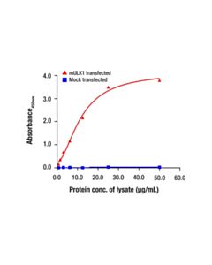 Cell Signaling Phospho-ULK1 (Ser317) Matched Antibody Pair
