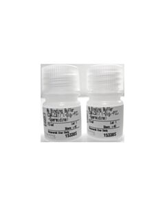 Cell Signaling Cut&Run Antibody Binding Buffer