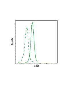 Cell Signaling c-Jun (60A8) Rabbit mAb (PE Conjugate); 20 µl