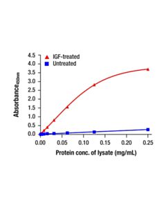 Cell Signaling Phospho-Akt1 (Ser473) Matched Antibody Pair
