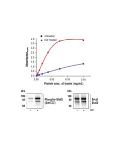 Cell Signaling Fastscan Phospho-Stat3 (Ser727) ELISA Kit