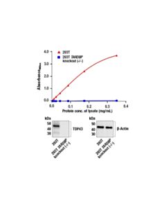 Cell Signaling Pathscan ® Tdp43 Sandwich ELISA Kit