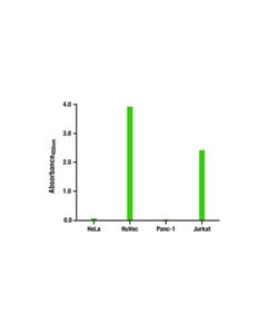Cell Signaling Total Cd31 (Pecam-1) Matched Antibody Pair