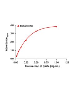 Cell Signaling Neurofilament-H Matched Antibody Pair