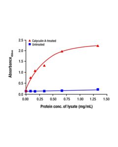 Cell Signaling Phospho-mTOR (Ser2481) Matched Antibody Pair